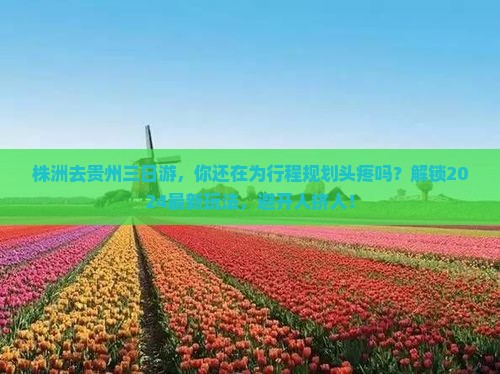 株洲去贵州三日游