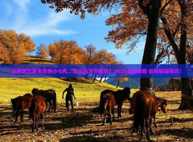 保定去贵州小七孔景点