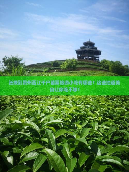 张掖到贵州西江千户苗寨旅游小吃