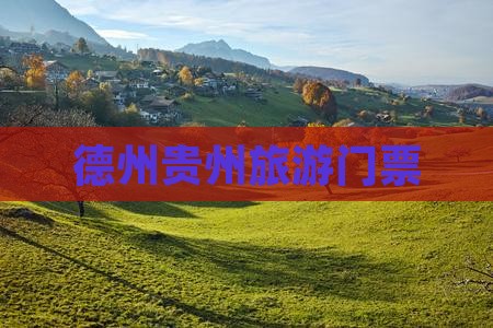 德州去贵州门票