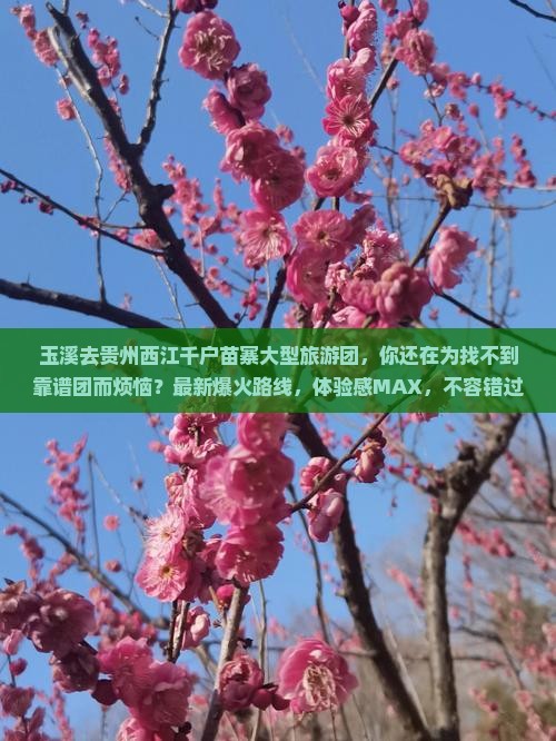 玉溪去贵州西江千户苗寨大型旅游团