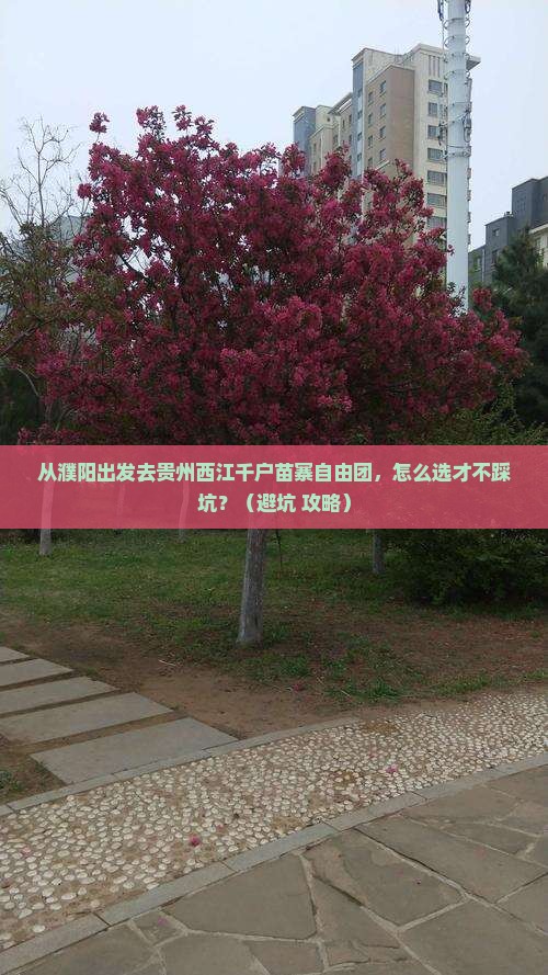 濮阳去贵州西江千户苗寨自由团