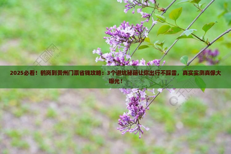 鹤岗到贵州门票