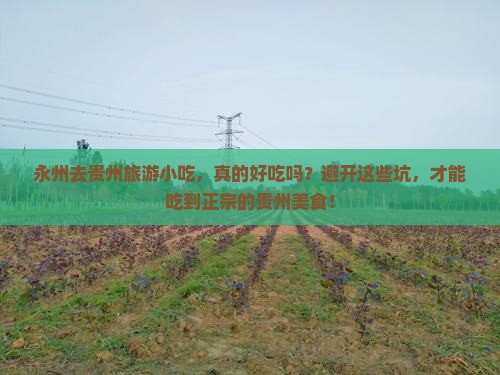 永州去贵州旅游小吃