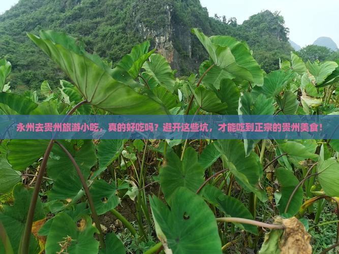 永州去贵州旅游小吃
