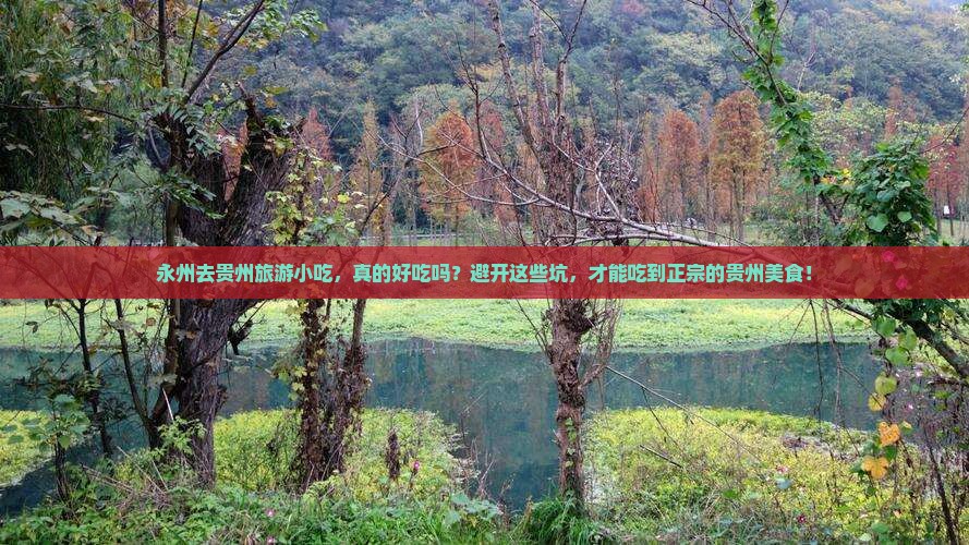 永州去贵州旅游小吃