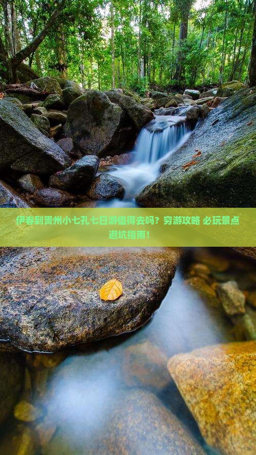 伊春到贵州小七孔七日游