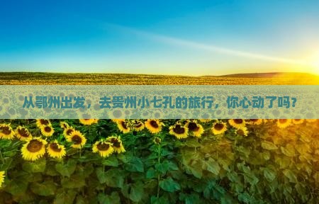 鄂州到贵州小七孔旅行社