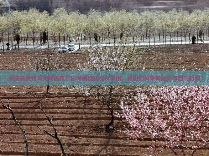 襄阳去贵州黄果树瀑布六日游