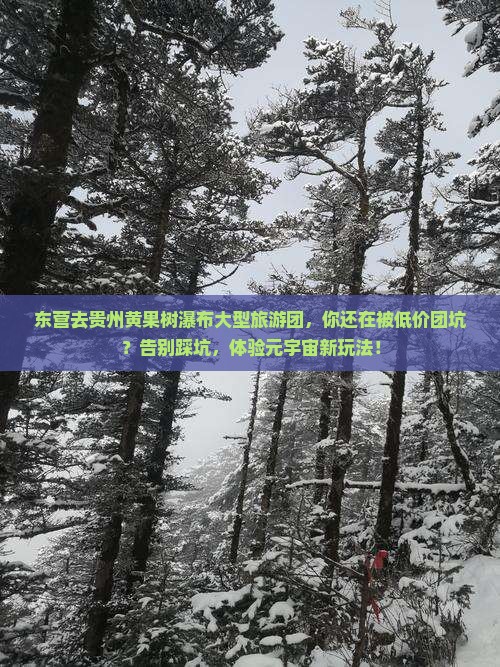 东营去贵州黄果树瀑布大型旅游团
