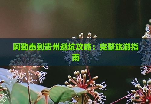 阿勒泰到贵州攻略