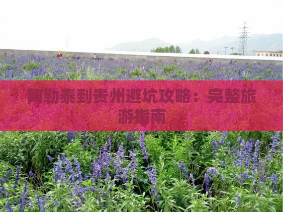 阿勒泰到贵州攻略