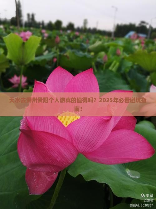天水去贵州贵阳个人游