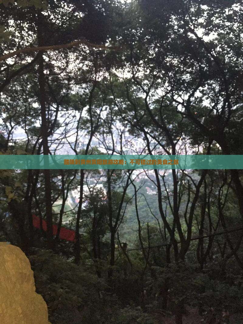 醴陵到贵州贵阳旅游小吃
