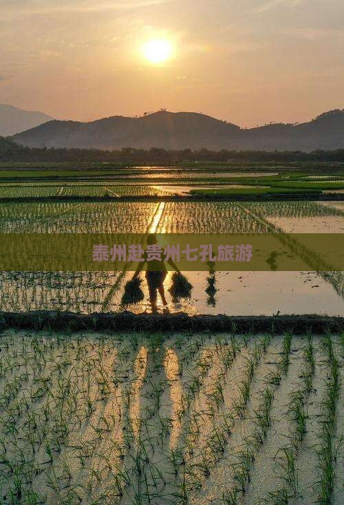 泰州去贵州小七孔景点