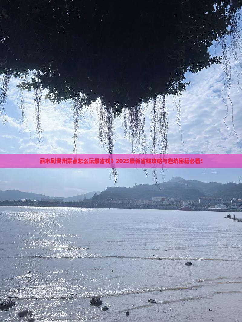 丽水到贵州景点