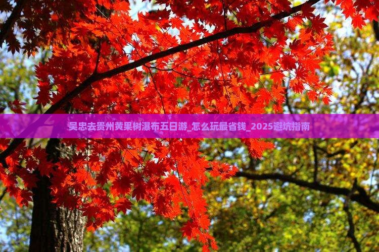 吴忠去贵州黄果树瀑布五日游