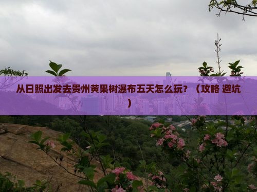 日照到贵州黄果树瀑布五日游