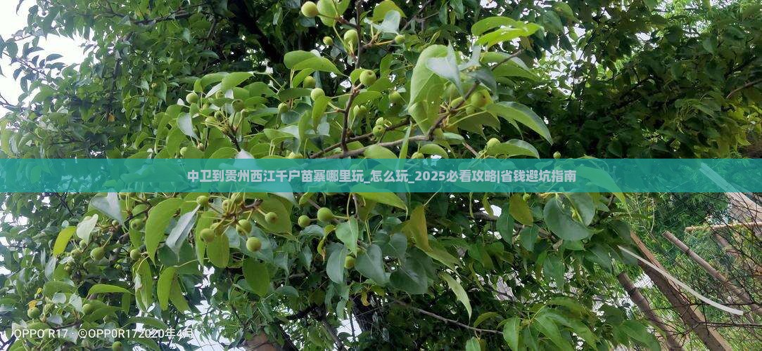 中卫到贵州西江千户苗寨哪里玩
