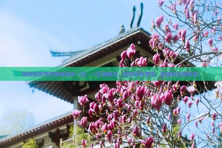 襄樊到贵州黄果树瀑布一日