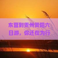 东营到贵州贵阳六日游