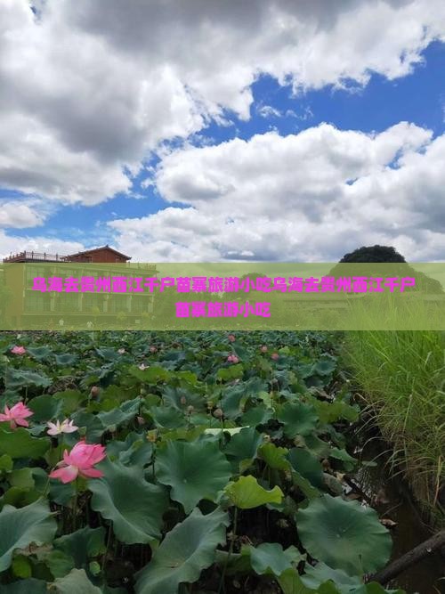 乌海去贵州西江千户苗寨旅游小吃