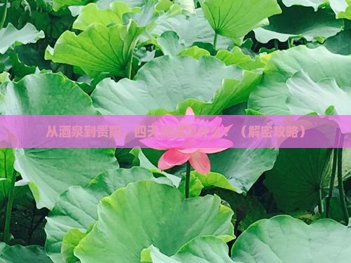 酒泉到贵州贵阳四日游