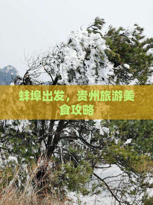 蚌埠到贵州旅游小吃