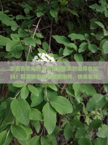 定西去贵州大型旅游团