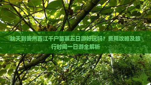 秋天到贵州西江千户苗寨五日游