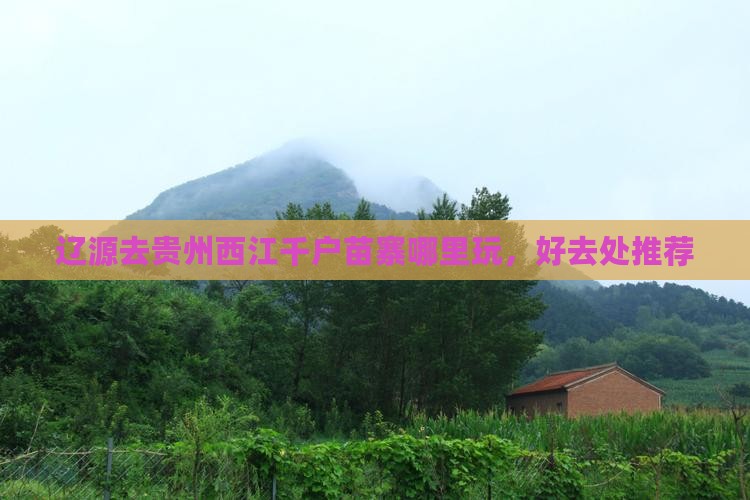辽源去贵州西江千户苗寨哪里玩