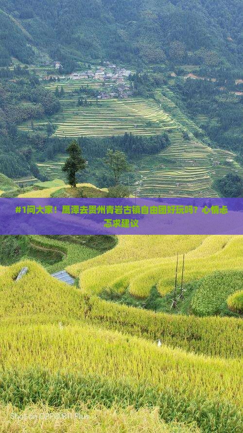鹰潭到贵州青岩古镇自由团