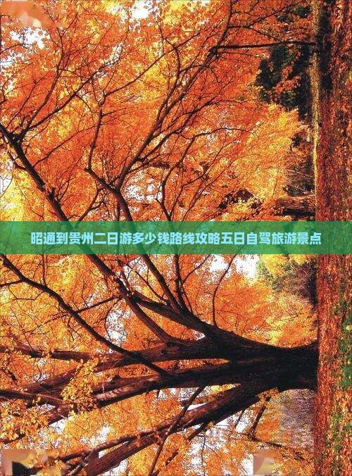 昭通到贵州二日游