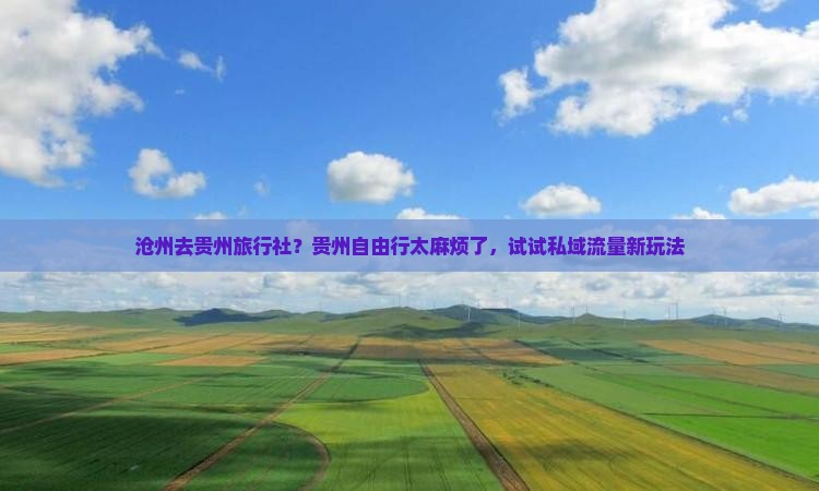 沧州去贵州旅行社