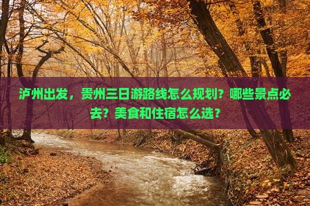 泸州去贵州三日游
