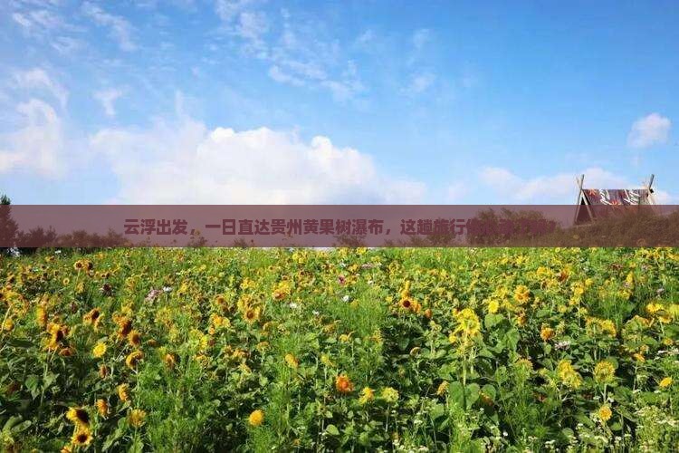 云浮去贵州黄果树瀑布一日