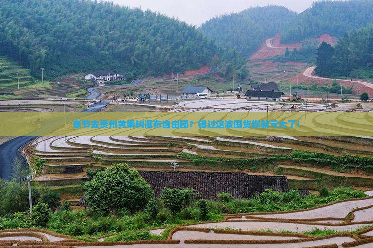 春节去贵州黄果树瀑布自由团