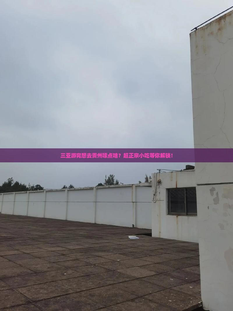 三亚去贵州旅游小吃