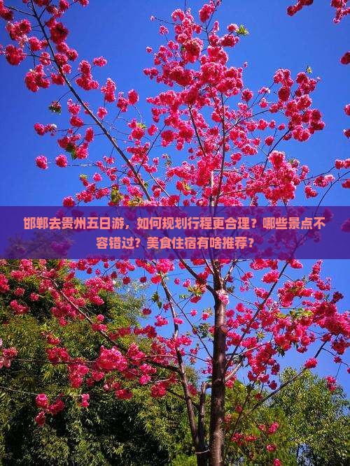 邯郸去贵州五日游