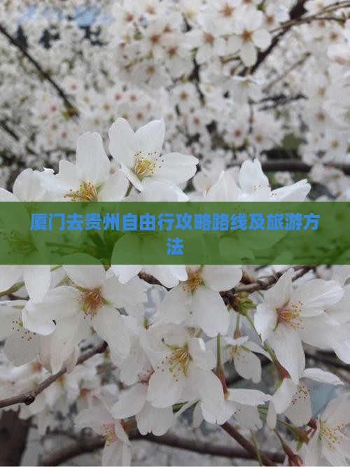厦门去贵州自由行