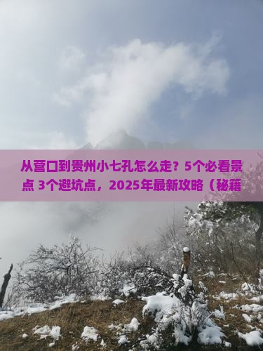 营口去贵州小七孔景点