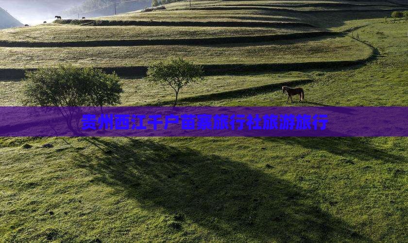 湘西去贵州西江千户苗寨旅行社