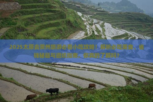 太原去贵州旅游小吃