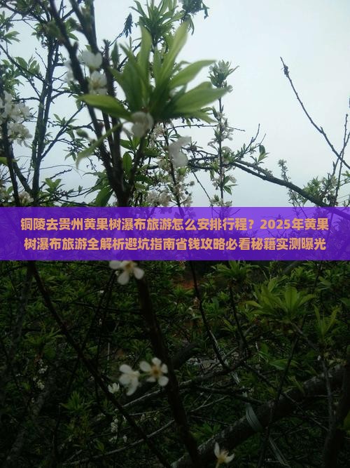 铜陵去贵州黄果树瀑布旅游