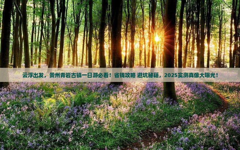 云浮到贵州青岩古镇一日