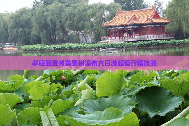 孝感到贵州黄果树瀑布六日游