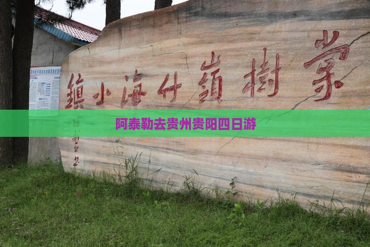 阿泰勒去贵州贵阳四日游