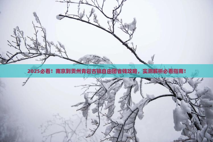 南京到贵州青岩古镇自由团