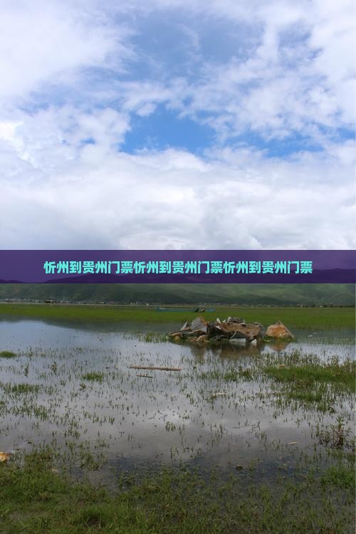 忻州到贵州门票