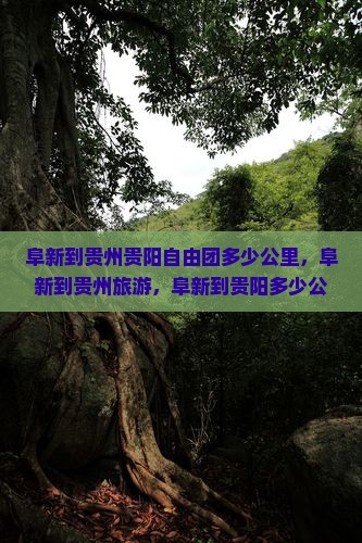 阜新到贵州贵阳自由团